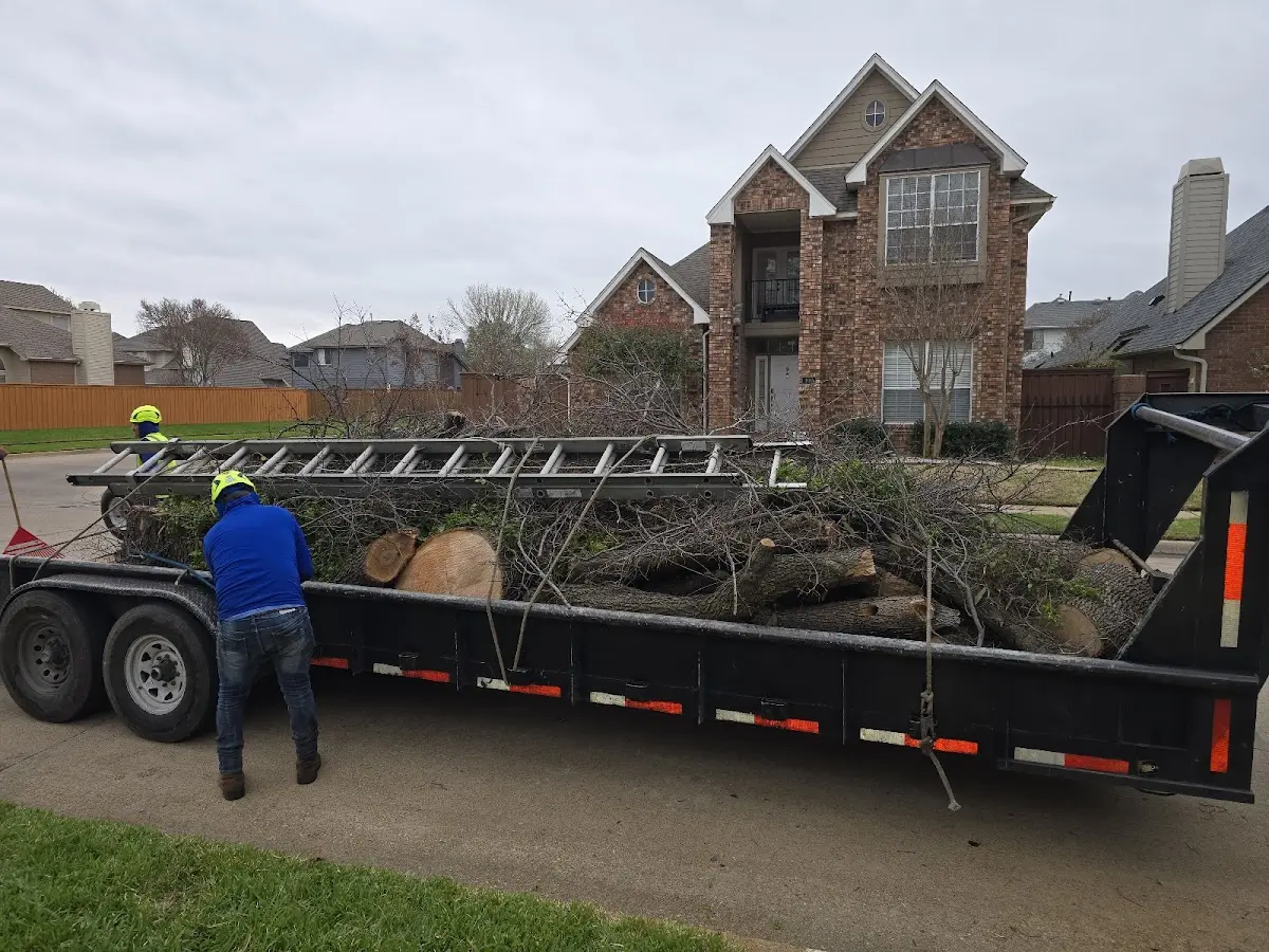 Expert Tree Fertilization with proper safety equipment in Fairmont
